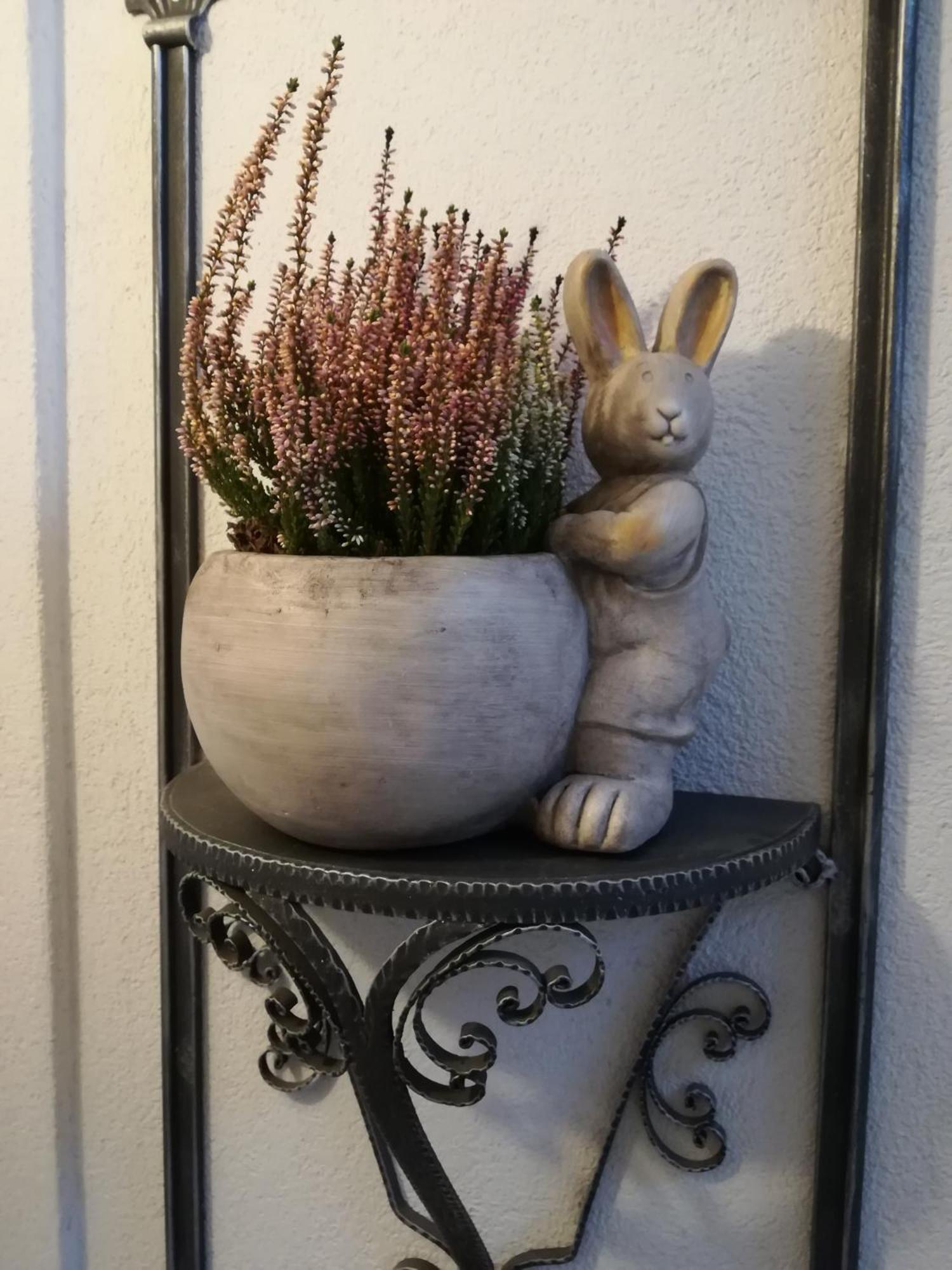 Il Nido B&B Villa d'Allegno Szoba fotó